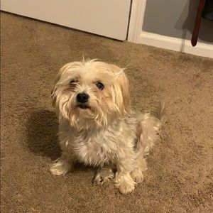 Meet your Posher, Thomas